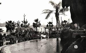 HAMMAM BOU HADJAR 507  BASSIN